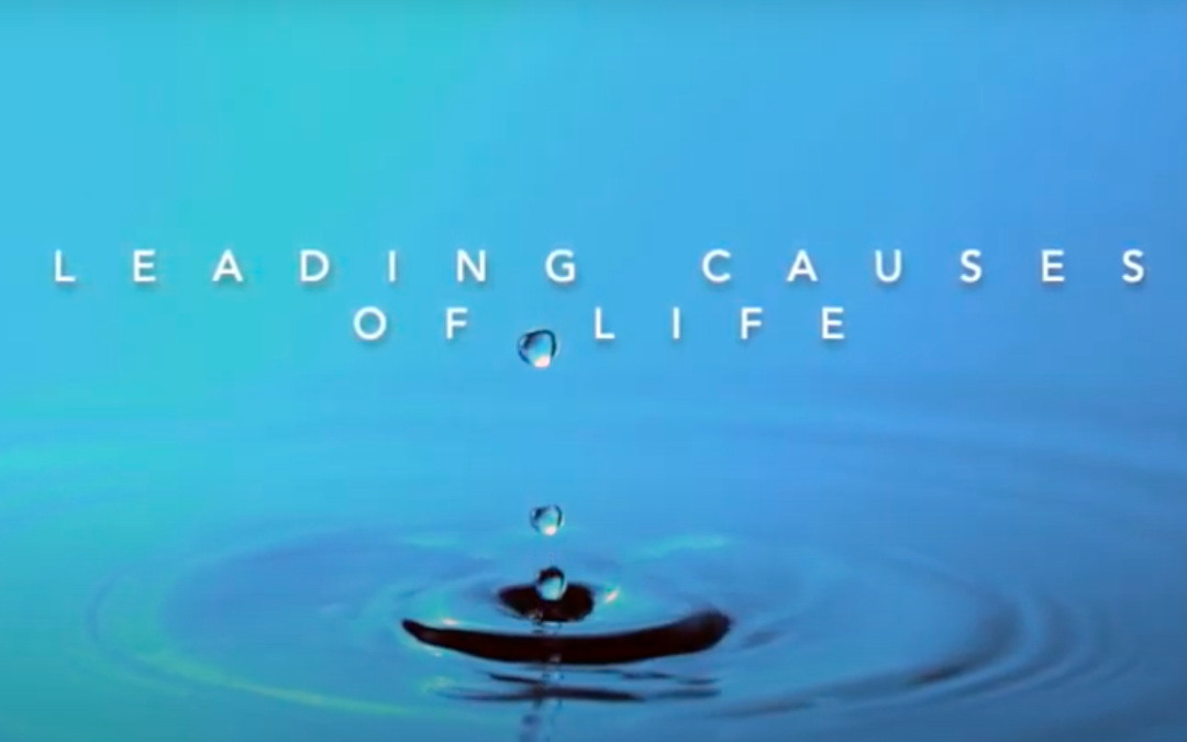 Leading Causes of Life Initiative, Gary Gunderson & Jim Cochrane
