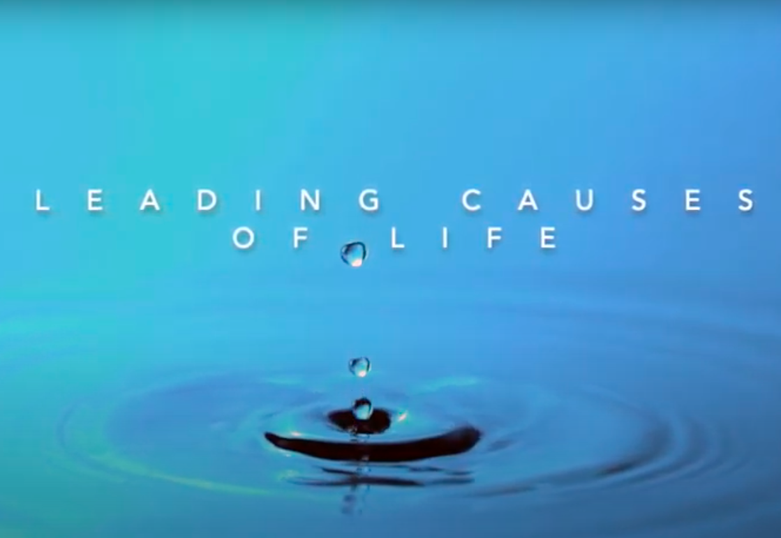 Leading Causes Of Life Initiative Gary Gunderson Jim Cochrane 