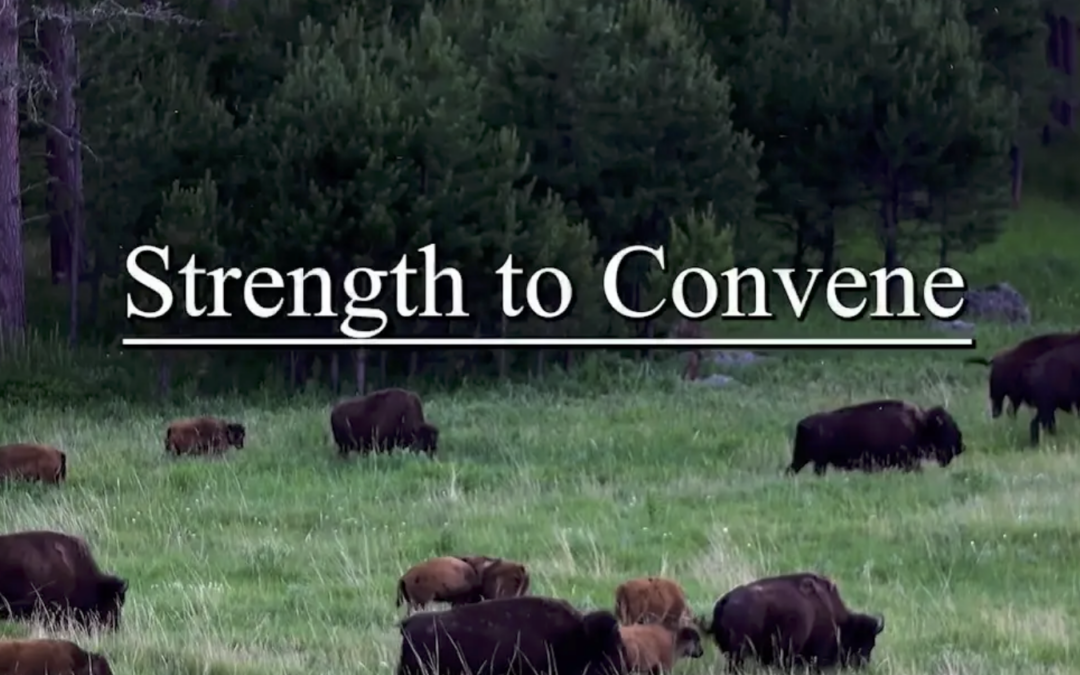 Videos: 8 Strengths of Congregations